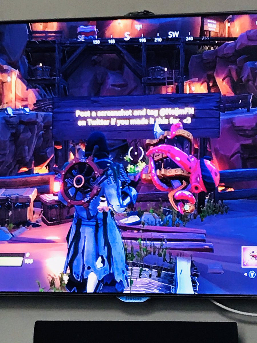 Th3Pix3lTig3r tweet media