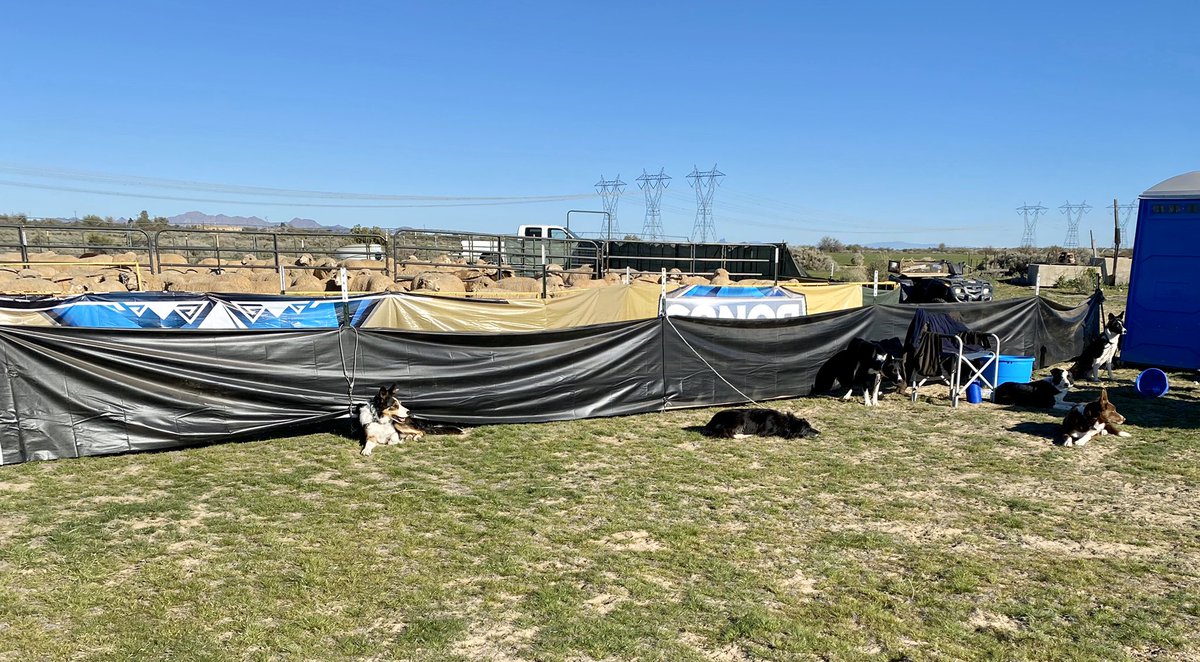 AZStockDogs tweet picture