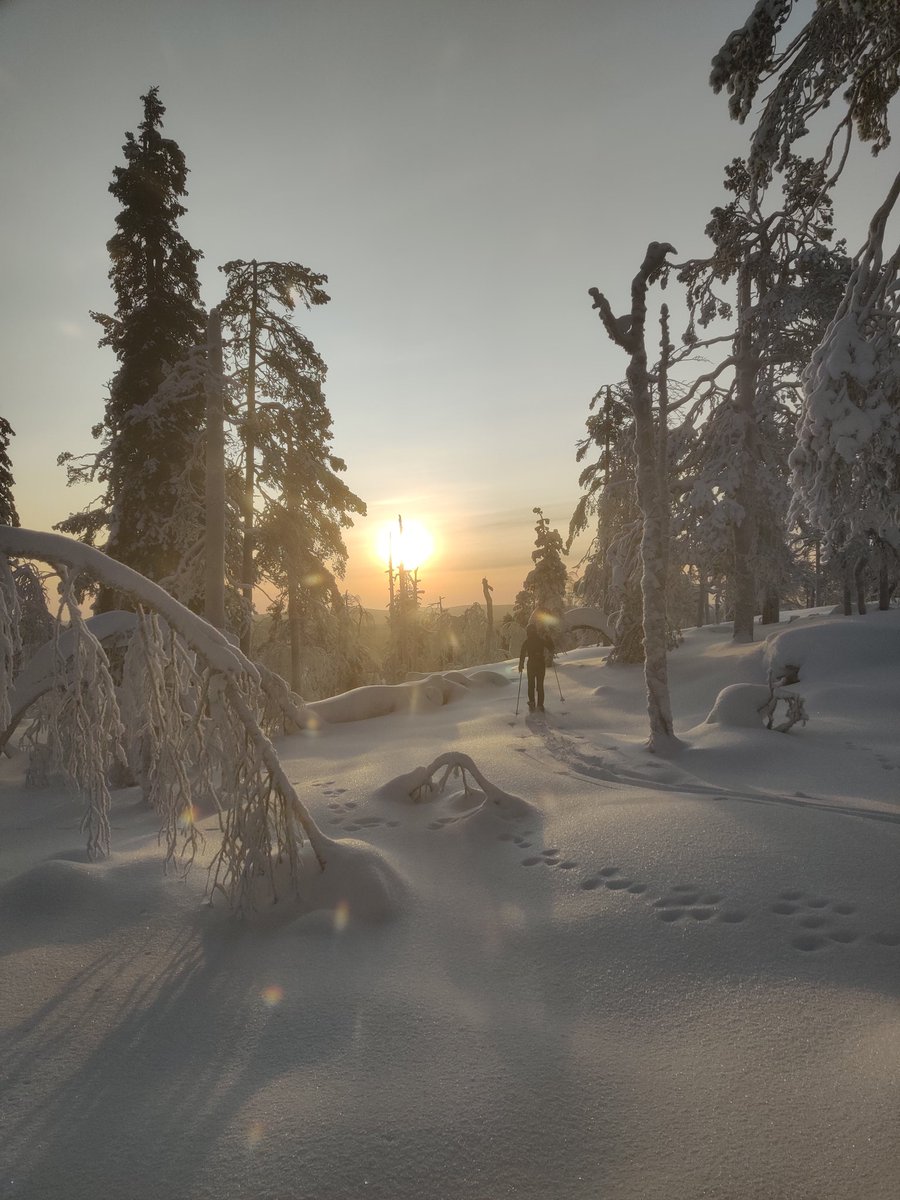 Parasta mitä suunnistus on antanut, on rakkaus luontoon ja luonnossa liikkumiseen. Sekä ystävät, joille näillä on sama merkitys. #Lapinlumo #kaunisluonto #ystävät #kiitos