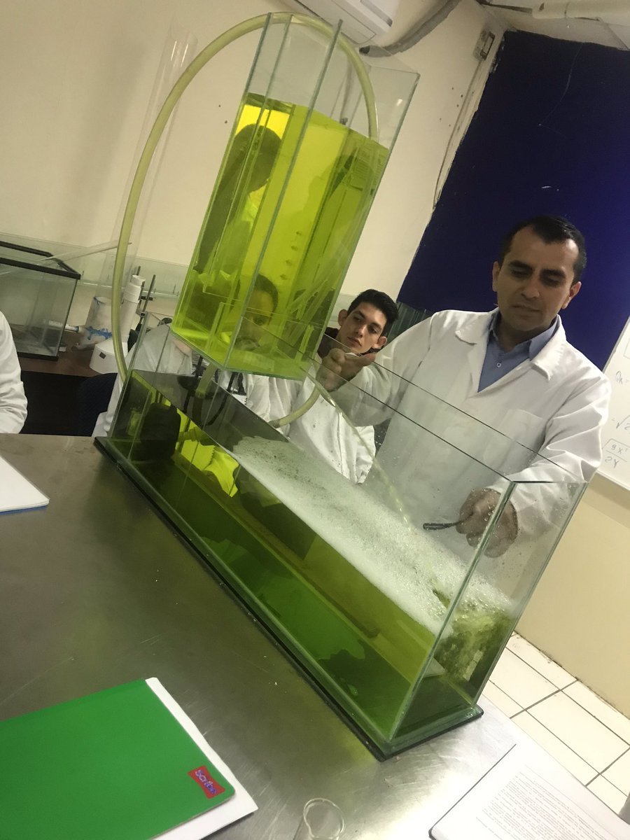 Eliel_CastGo's tweet photo. #GuepardeX⚡️ https://t.co/wGuDUjCkDL