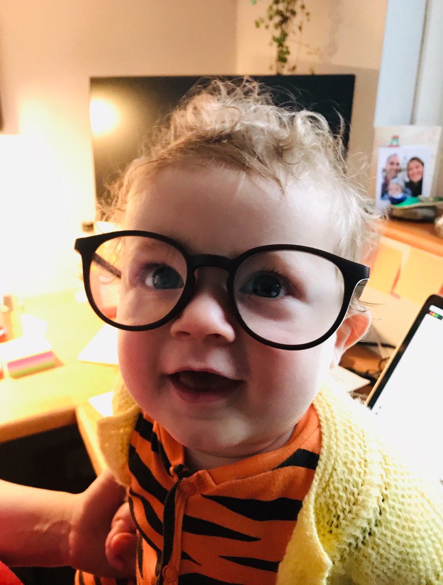 InesSequeira7's tweet image. Having a special “helper” for my grant writing: Mr V trying to look smart #WomenInScience #babynerd