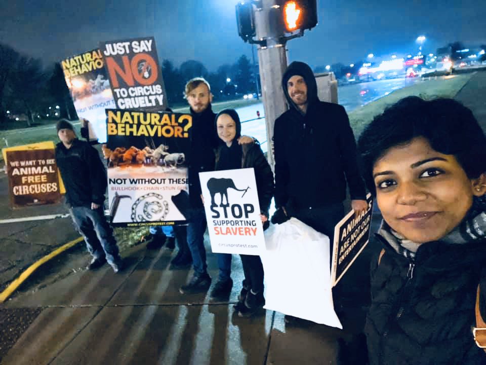 CircusProtest's tweet image. Standing up to Shrine #circus cruelty in #Louisville! Happening today &amp;amp; tomorrow: facebook.com/events/s/louis… #animalrights #elephants