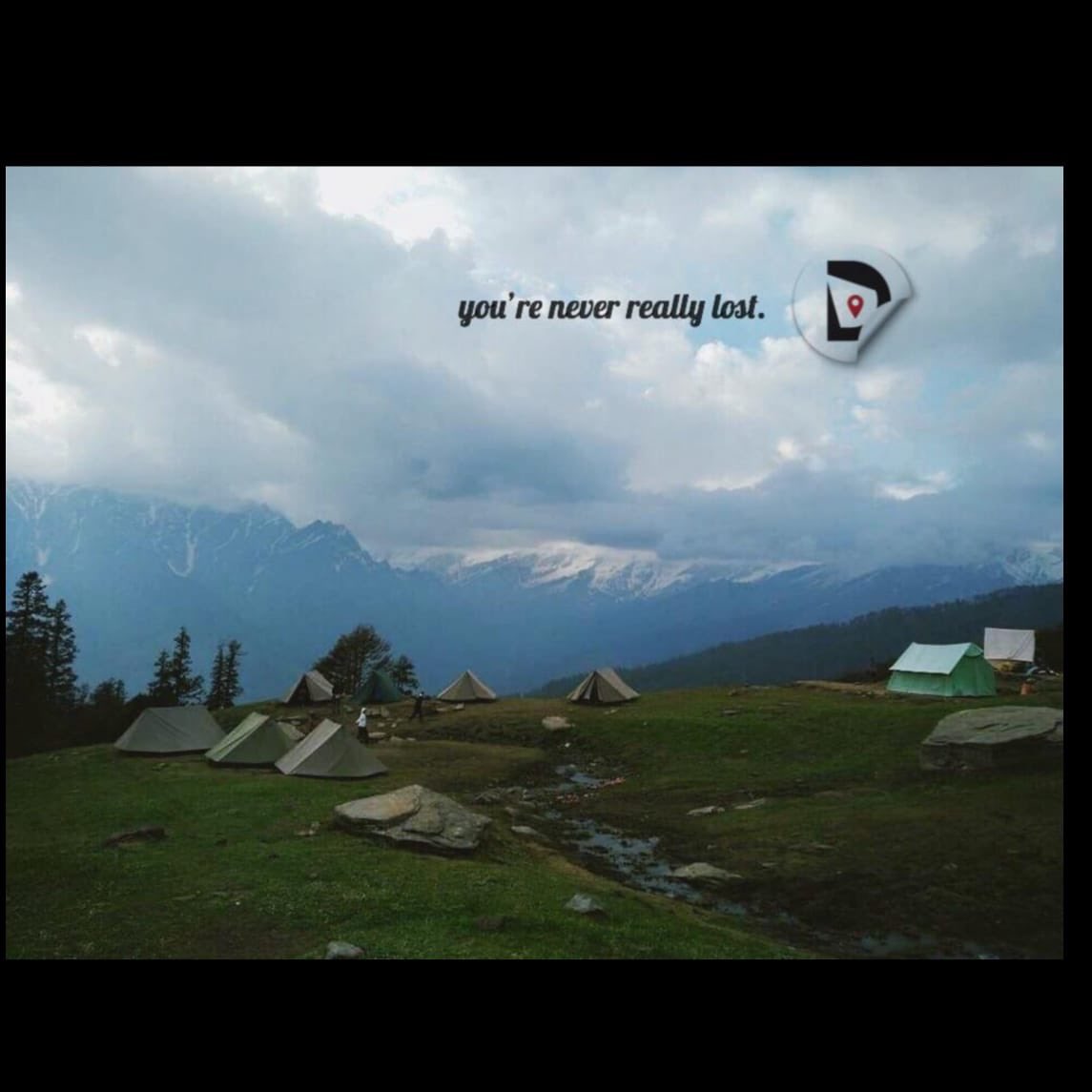 Decerch1's tweet photo. Roam care free in the wilderness of nature ! https://t.co/t9ATdeQ51T