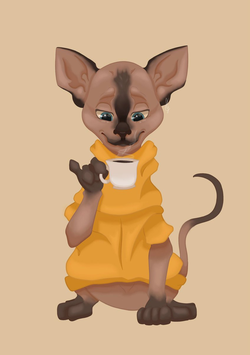 Coffee time ☕️ #characterdesign #characterillustration #character #characterdesigner #characterdesigns #cuteanimals #sphinxcat #procreate #procreateart #procreatedrawing #digitaldrawing #digitaldrawings #digitaldraw #cutedrawing #cutedraw #draw #drawing #drawings #drawdrawdraw