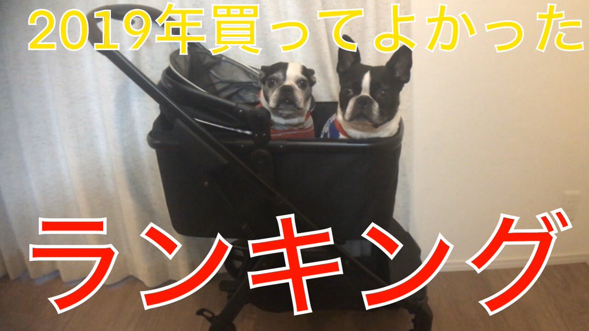 onna_fam's tweet photo. https://t.co/uIKqrISYCD
YouTubeアップしました！
女二人で暮らす我が家の買ってよかったものをランキングにしました！
#コストコ購入品 #amazon購入品 #買ってよかったもの #bostonterrier #女二人家族 #同性 https://t.co/67F5S2zUsd