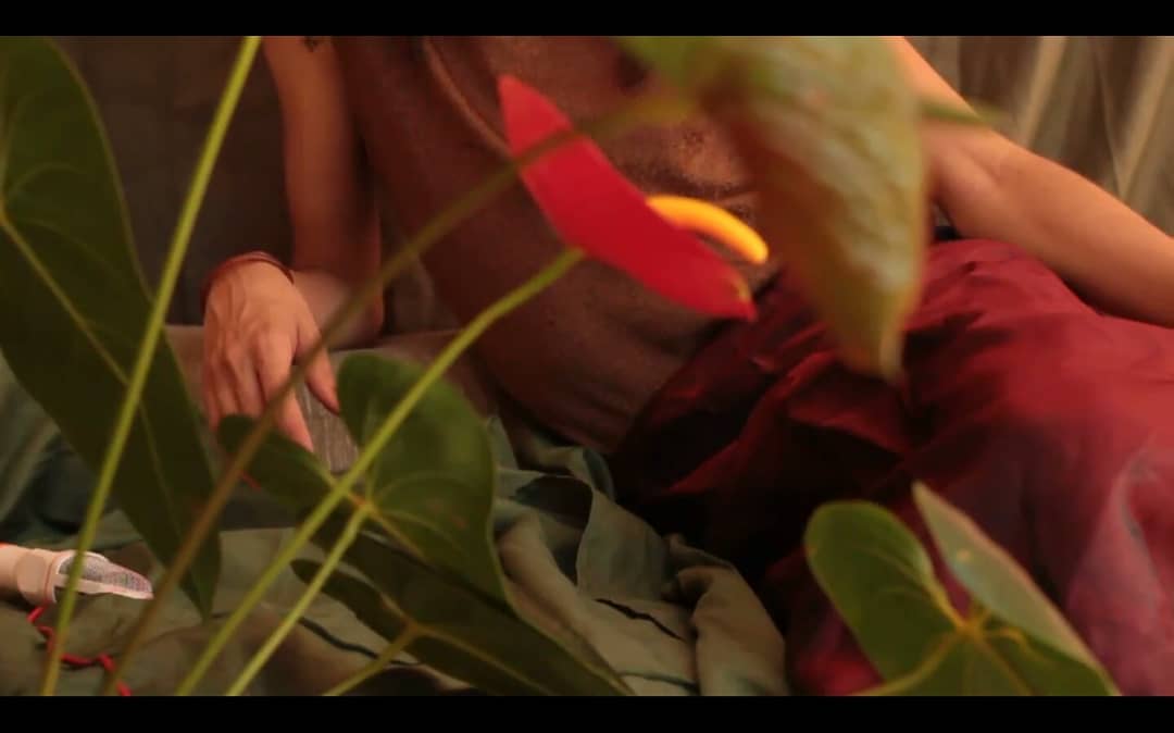 caiadela's tweet photo. assistam ao meu videoclipe de Bonita 💛✨ https://t.co/rnc5rkHH5n https://t.co/jAWhjtpc31