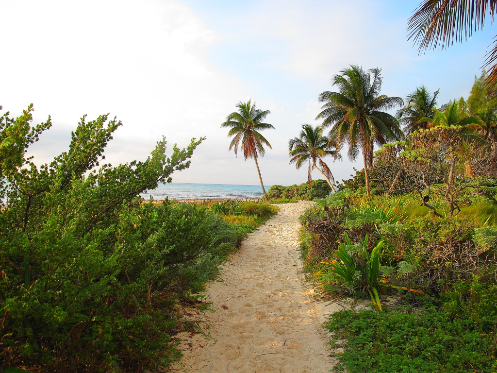 Alexand42849604's tweet photo. #yogajobs #yogaretreats #yogacruises https://t.co/0cQKCWZ9M1