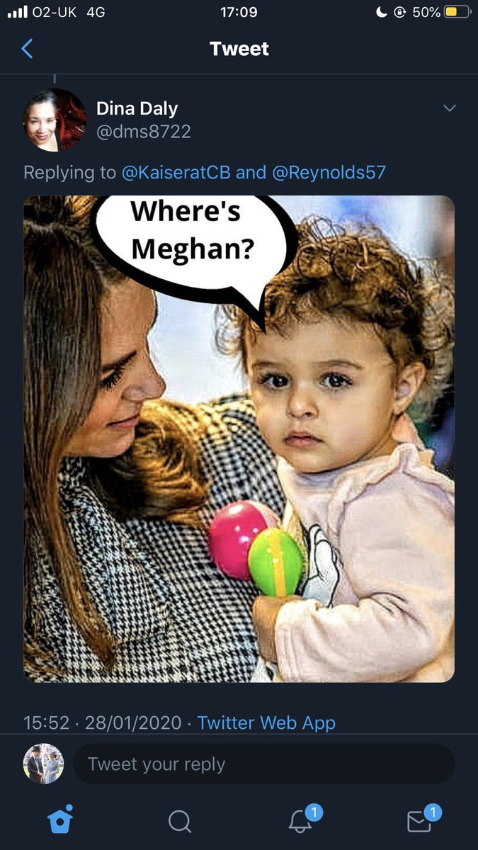 And more hate. People accusing kate of using black children for photo ops. Implying that she doesn’t want photos with black children & she is racist. THEY are the ones who see colour (3/?)
