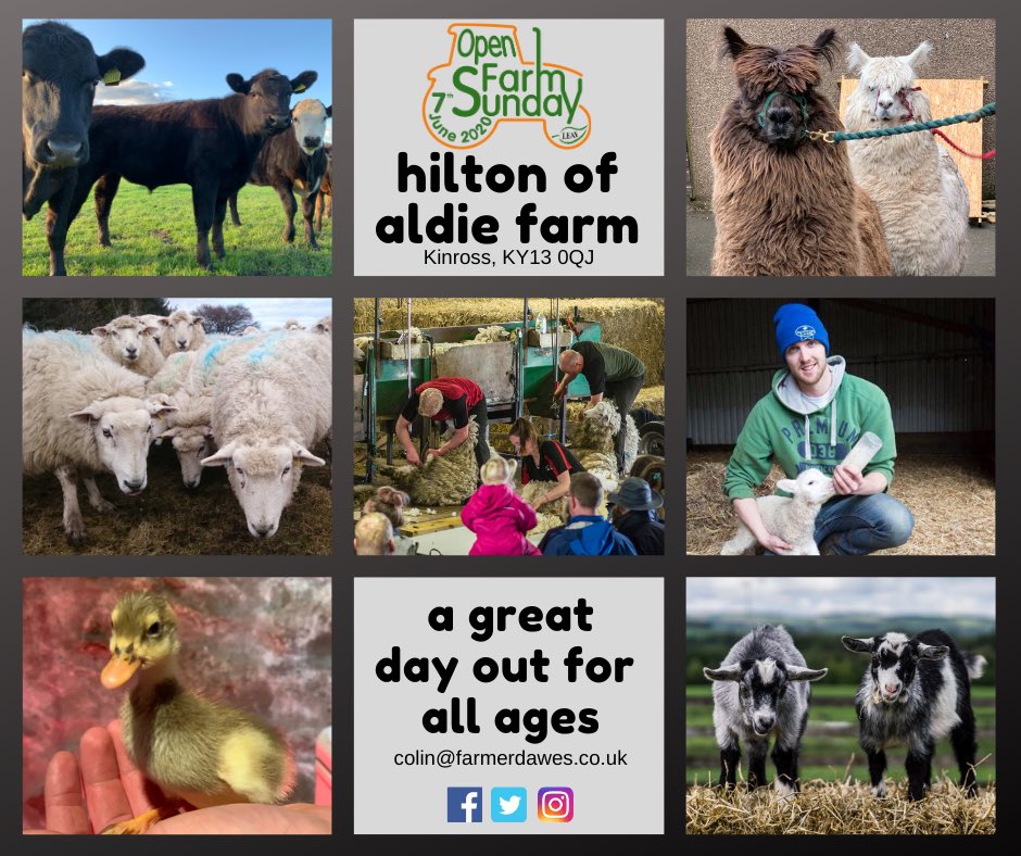 It’s back! Our annual farm open day, part of <a href="/OpenFarmSunday/">OpenFarmSunday</a>, will take place on Sunday 7 June. 

If you have a rural craft business and would like to join us with a demonstration, workshop or stall please get in touch - colin@farmerdawes.co.uk (limited free places available)