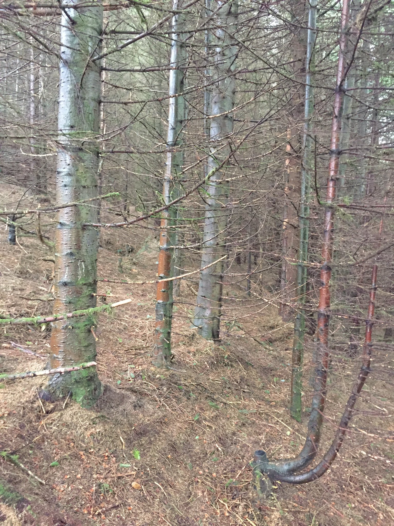 Kilian Murphy on Twitter "The fact that this is acceptable in a