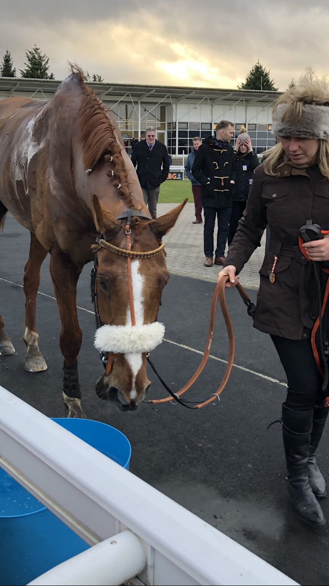 FluffyPickle's tweet photo. Can’t beat your favourite trainer having a winner Congratulations @NRuthJefferson @HamiltonJamie1 #Secretestream #teamjefferson https://t.co/OZ71fc3CHs