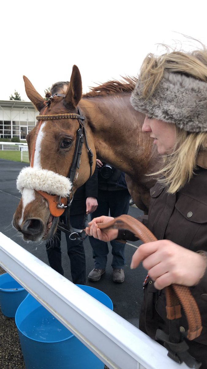 FluffyPickle's tweet photo. Can’t beat your favourite trainer having a winner Congratulations @NRuthJefferson @HamiltonJamie1 #Secretestream #teamjefferson https://t.co/OZ71fc3CHs