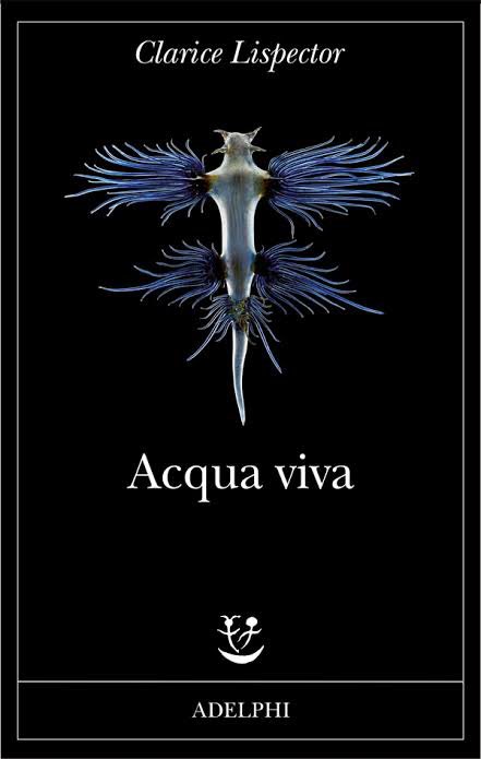 angelucci_dario's tweet photo. #Books | Ieri, preso da un irrefrenabile istinto, è partito l’ordine.
- #Lizzie | #ShirleyJackson
- #Compulsion | #MeyerLevin
- #Follia | #PatrickMcGrath
- #AcquaViva | #ClariceLispector
@adelphiedizioni, Grazie 🙏 https://t.co/JgB4NMML6Z