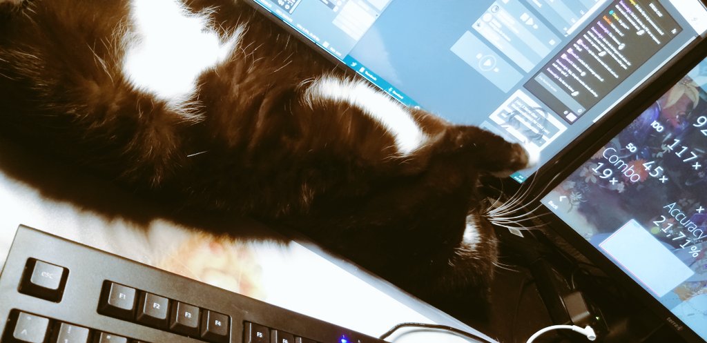 951_Marie's tweet photo. Super schönen Stream heute 🤭💋 Danke an alle die dabei waren 
Das Ende wurde ein wenig abgelenkt von einem Katzenvieh xD
#LebenMitEinerKatze https://t.co/UAt6jtP5Fy