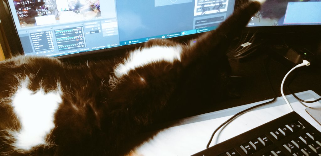 951_Marie's tweet photo. Super schönen Stream heute 🤭💋 Danke an alle die dabei waren 
Das Ende wurde ein wenig abgelenkt von einem Katzenvieh xD
#LebenMitEinerKatze https://t.co/UAt6jtP5Fy