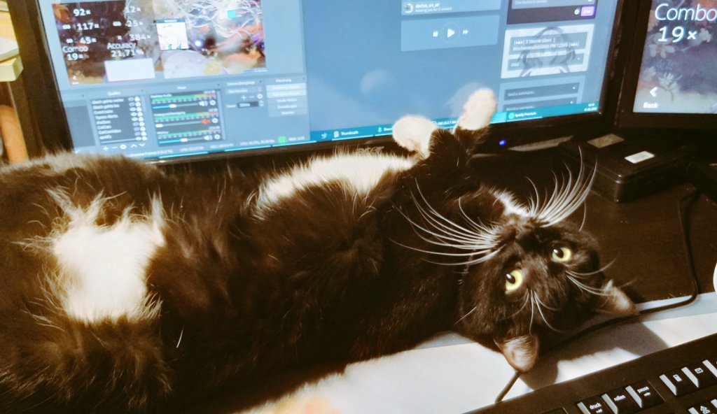 951_Marie's tweet photo. Super schönen Stream heute 🤭💋 Danke an alle die dabei waren 
Das Ende wurde ein wenig abgelenkt von einem Katzenvieh xD
#LebenMitEinerKatze https://t.co/UAt6jtP5Fy