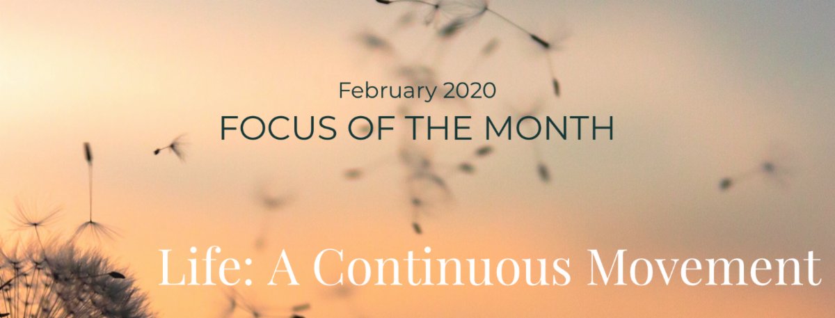 February: "Life: A Continuous Movement" - Plus, Jivamukti Bern Opens! Jivamukti Los Angeles celebrates it's 1st Birthday! Last hours for Italy TT Early Bird Registration! and more! conta.cc/2TVCt73