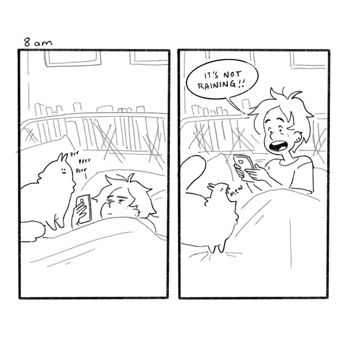 Hourlies thread! A Vancouver miracle 