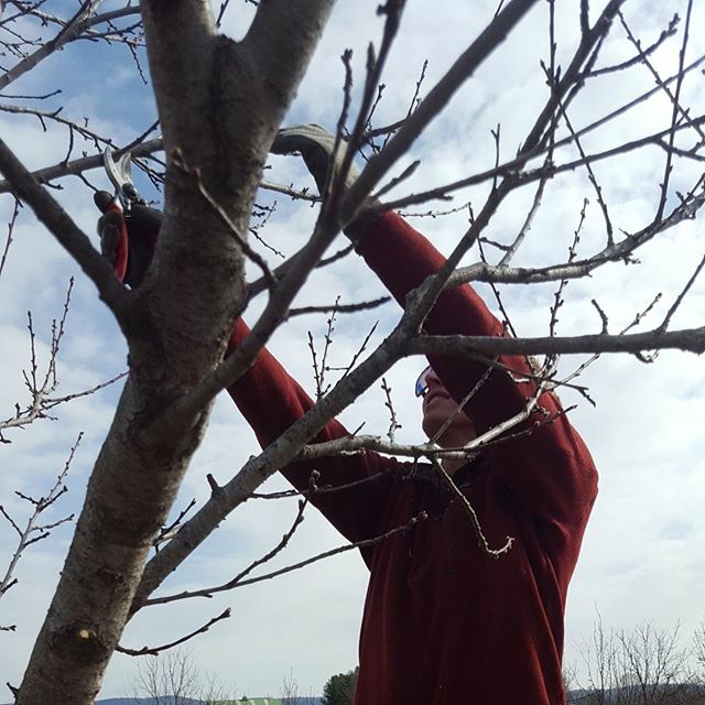 The Gardener's Almanac - February ❄ 
Sign up for our monthly newsletter at the link in our bio ift.tt/3aYvOPH