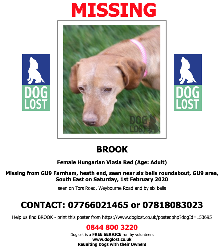 DogLostUK's tweet photo. https://t.co/jt1sXwNKjV
#LOST #DOG BROOK
Female #HungarianVizsla
#Missing from #Farnham, heath end, seen near six bells roundabout, #GU9
Saturday, 1st February 2020
#LostDog #ScanMe https://t.co/gMwPmi0jgo
@VetsGetScanning @SAMPAuk_ @SarahP2311 https://t.co/LYOUCwHZDY