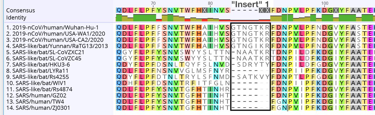 Looking at each "insert" in turn. We see that "insert 1" (GTNGTKR) is present in the closely related virus bat/Yunnan/RaTG13/2013. It is impossible that this sequence was "inserted" into the  #nCoV2019 genome. 5/9