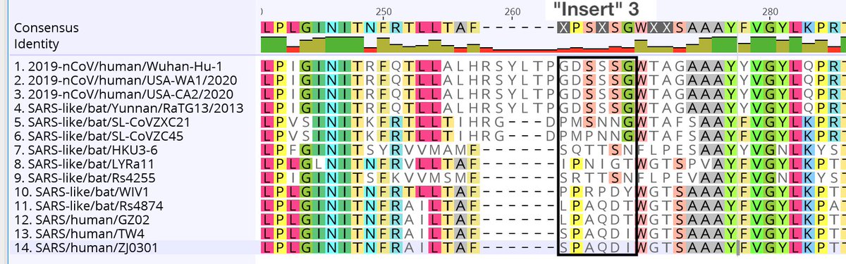 "Insert 3" (GDSSSG) also appears to be a possible alignment artifact, though this is equivocal. However, this "insert" is most definitely in RaTG13. There was no insertion of RNA into the  #nCoV2019 spike protein. 7/9