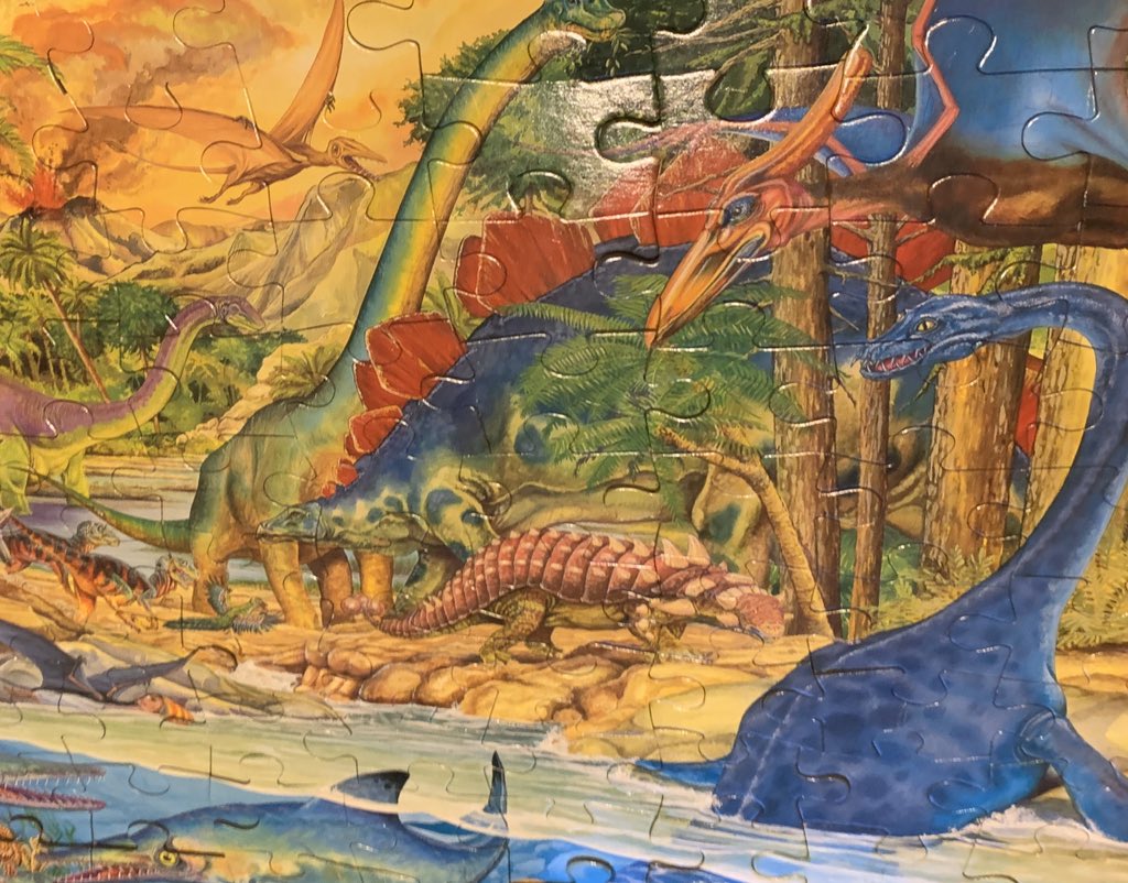 💚 A lovely, windy 10 mile walk today around the countryside in Shropshire. 

We’re now chilling in the lounge in our pyjamas and round the fire, doing jigsaws, games and watching the #SixNations2020 

Happy days ☺️