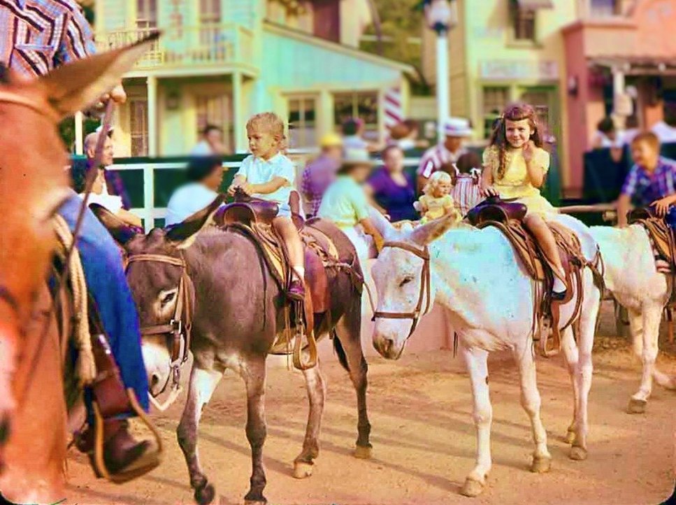 KatCressida's tweet photo. AIGHT 😜 #DisneyFans-
TODAY’S #DisneyHistory is LYAO 😂 AWES!

ONE of th’INNOVATIONS of #RiseOfTheResistance? 
‘RANDOM VARIABILITY’ of your experience!!

BUT WALT was ALLOVA this: #MulePack 🐴 closed TODAY 1960-
STUBBORN as they WERE 😂 gave DIFF RIDE each time!

@aaronhgoldberg https://t.co/XAVFDJV1yD