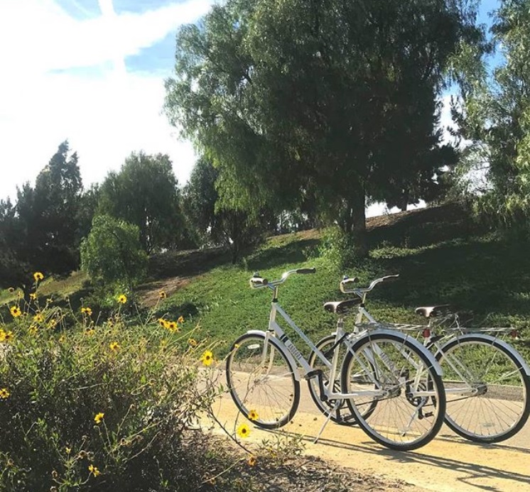 VisitCamarillo's tweet photo. Getting ready for Springtime in Camarillo π· @andorraapartments
.
.
.
#visitcamarillo #camarillo #california #visitcalifornia #venturacounty #vccoast #vcclife #venturacountycoast #theoriginalroadtrip #cctctravel #cctc #vacation #travel #socal https://t.co/wyAsMUZ1O7