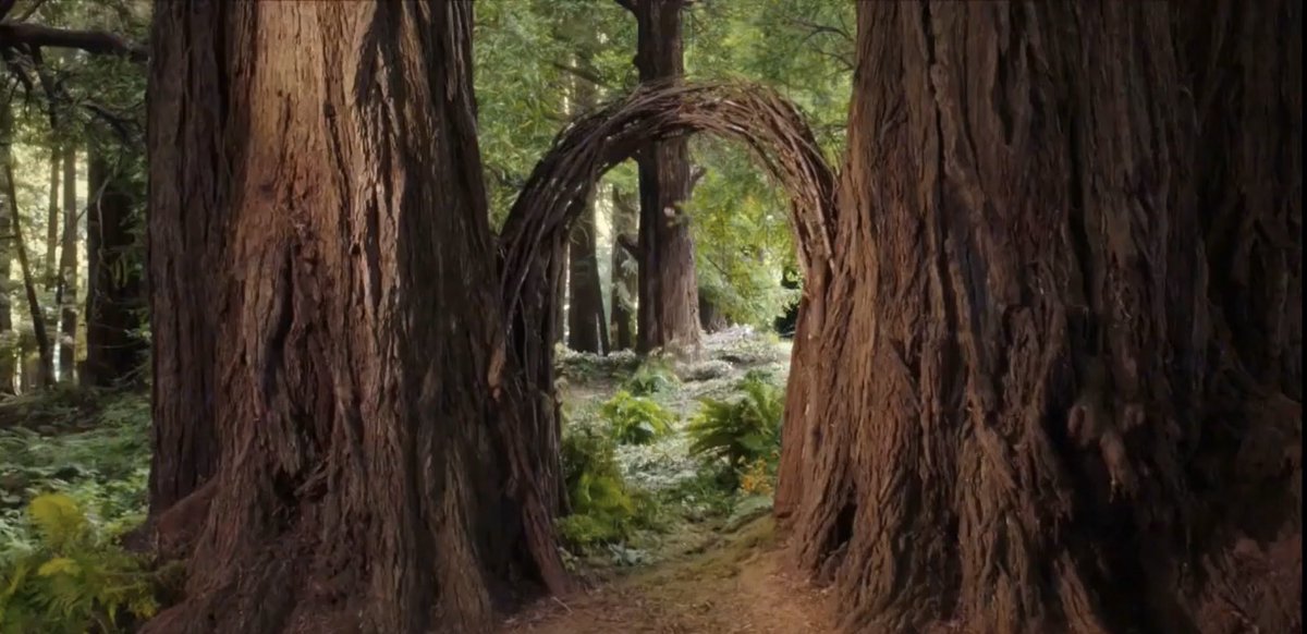 Kim Renfro on Twitter: "Two days later and I'm still recovering from what  felt like a very personal attack on my feelings — that this final door in  #TheGoodPlace was in a