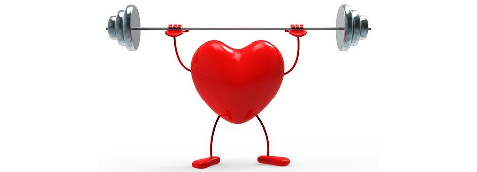 howchiropractic's tweet photo. With chiropractic you might be able to not only manage your current heart condition, but you may also ward off getting heart disease all together. Chiropractic is a natural, non-invasive therapy that treats heart disease in many different patients.  #chambleechiropratic https://t.co/fml66oURWm