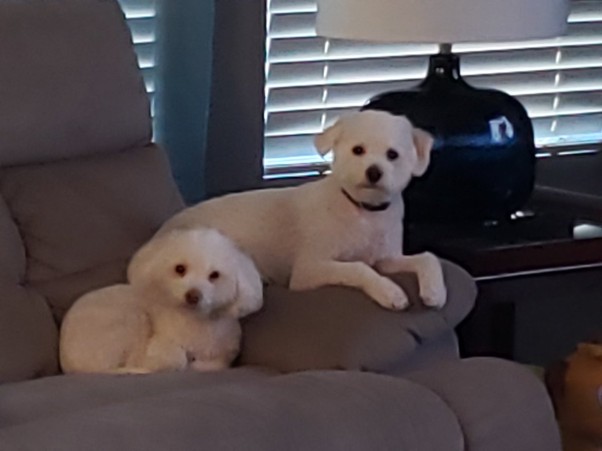 Waiting for breakfast this morning