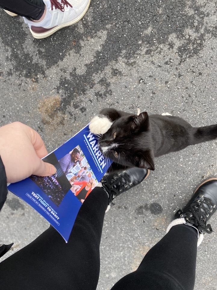 Dukes4Warren's tweet photo. Elizabeth Warren is PAWpular today https://t.co/3gjVkm5PRU