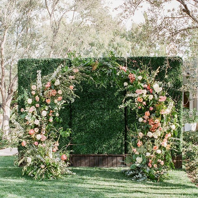 BakerParty's tweet photo. It's #SunnySaturday over here in SoCal and we're loving this outdoor ceremony set up featuring our Hedge Walls! These beauties can be used in so many unique ways, and we love how they create the perfect backdrop for this stunning floral arch! #BakerParty… https://t.co/6sRQ43O9zE https://t.co/mlhs9UwmTX