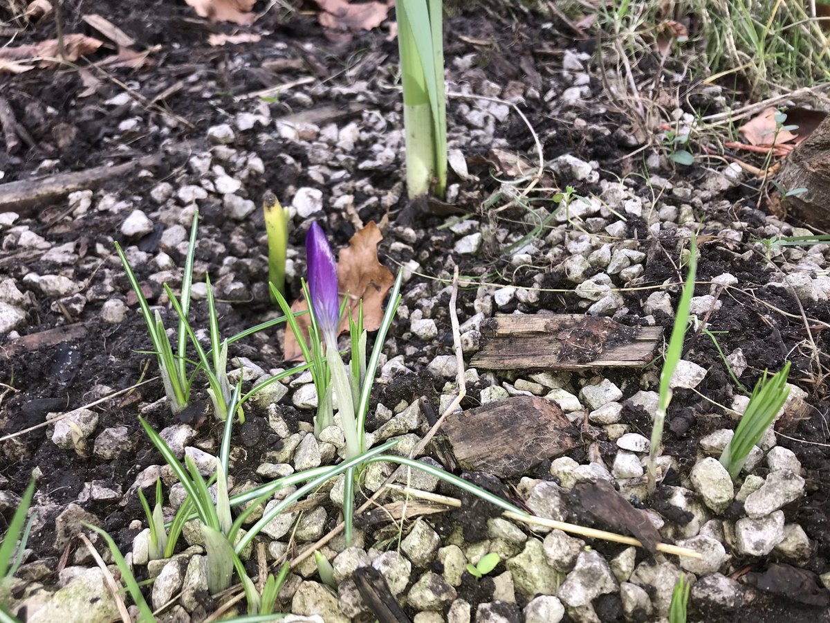 New life spring forth 💚.
