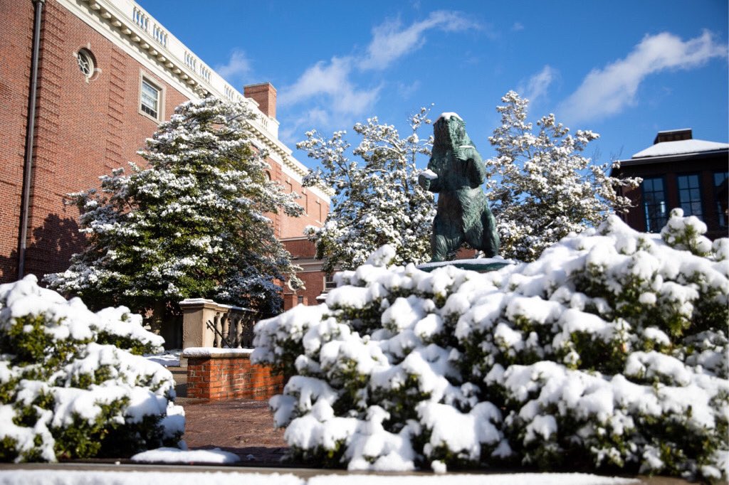 A statue of Bruno the bear in the snow.