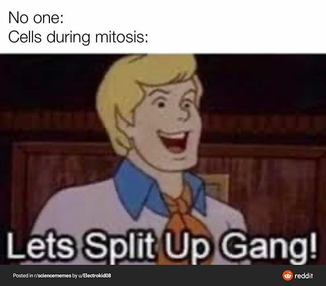 mybenznote's tweet photo. O - 8 - %
#benznote #chemistry #sciencememe #studymotivation #studygram #studymotivation #science #studyspo #biology #biochemistry #organic #anorganic #sciencememes  #pharmacystudent #chemistrymemes #chemistry #chemist #chemists #chemistsmemes #lab  #sci… https://t.co/P12Hmpl9ja https://t.co/jEwMSAgWqB