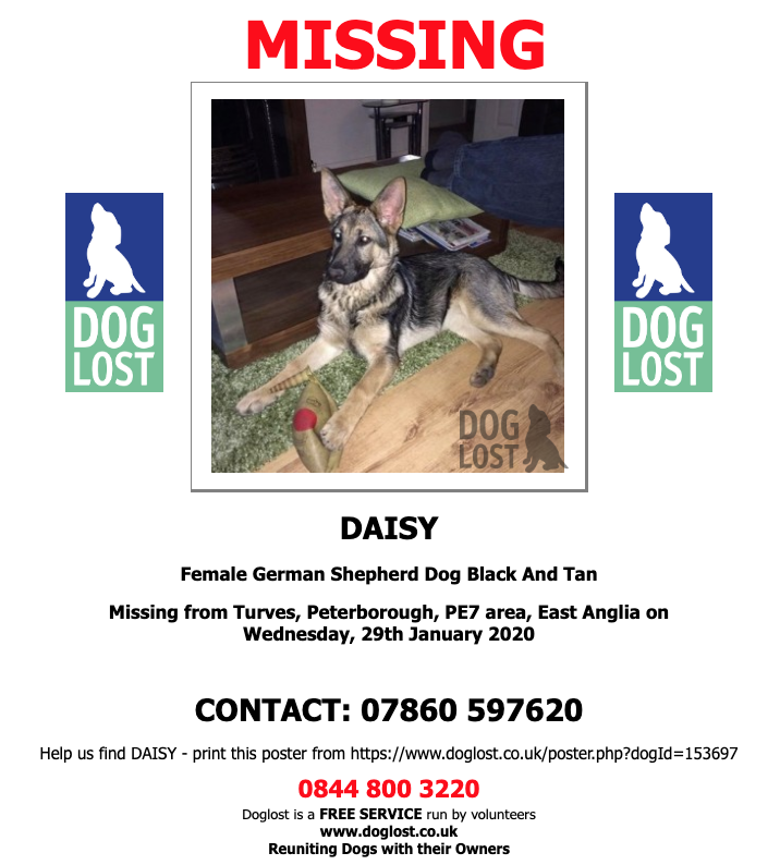 DogLostUK's tweet photo. https://t.co/jt1sXwNKjV
#LOST #DOG DAISY
Female #GermanShepherd Dog
#Missing from #Turves, #Peterborough #PE7
Wednesday, 29th January 2020
#LostDog #ScanMe
https://t.co/bNBHUKYZ98
@VetsGetScanning @SAMPAuk_ @SarahP2311 https://t.co/12RlzPiYqu