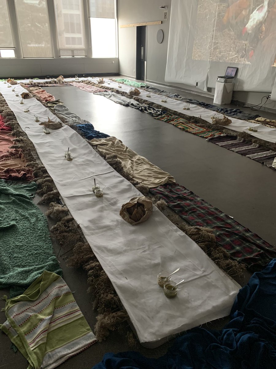 common_worlds's tweet photo. Collective food gathering. #climatepedagogies2020 https://t.co/HzD8KR771Y