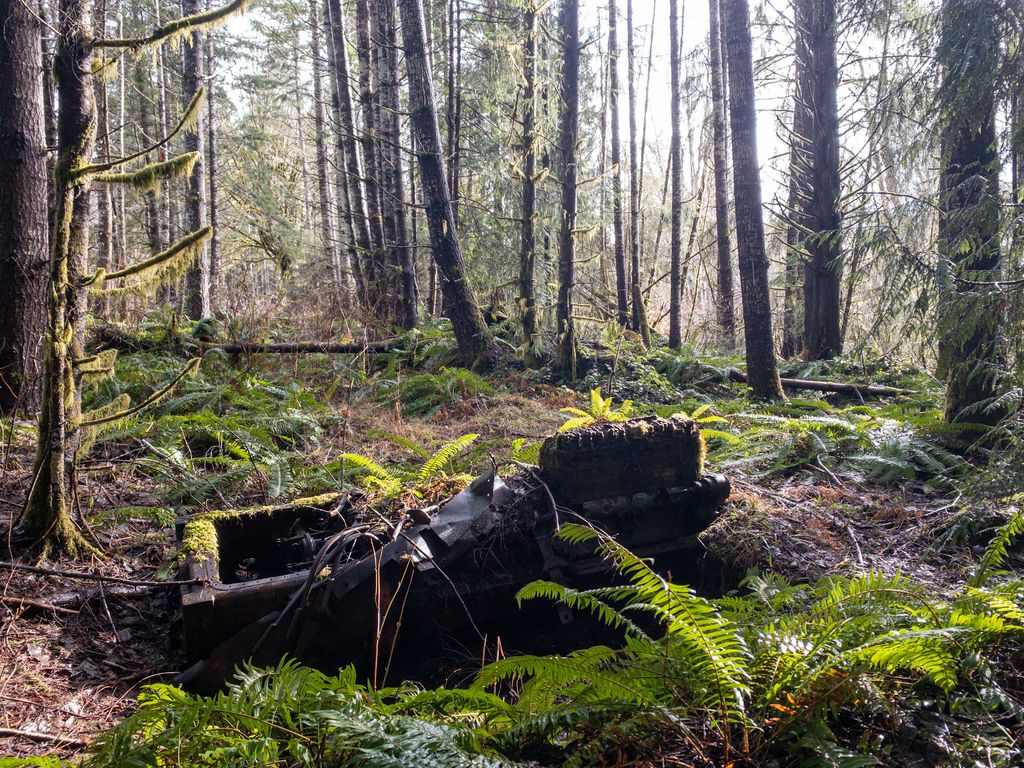 xexplore's tweet photo. This was a wild find. We were out looking for Western Red Cedars for the Timber Tracking Project and came across the engine in a slide. It’s obvious been out here for awhile. Must have been part of a logging operation. #adventurescientist #timbertracking https://t.co/OVhHHoimuP