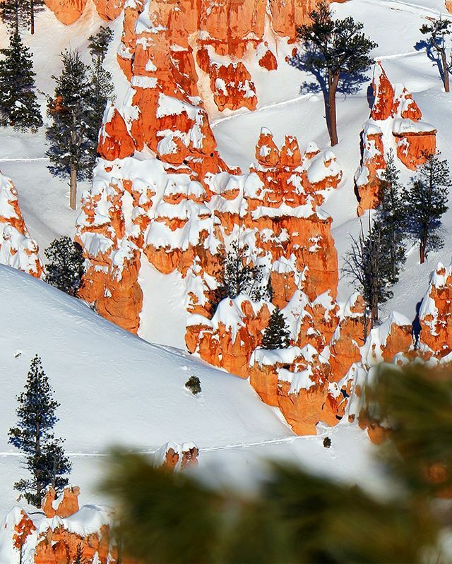 PixelogyStudios's tweet photo. Planning my next trip 😁❄️ ❄️❄️❄️ #Bryce #utah #love #nature #landscape #landscapephotography #pixelogystudios #landscapelovers #naturelovers #outdoors #follow #mothernature #hike  #hiking #snow #roadtrip #beautiful #brycecanyon #picoftheday #nakedpla… https://t.co/NHysRQPURT https://t.co/UfqEnlm8Ul