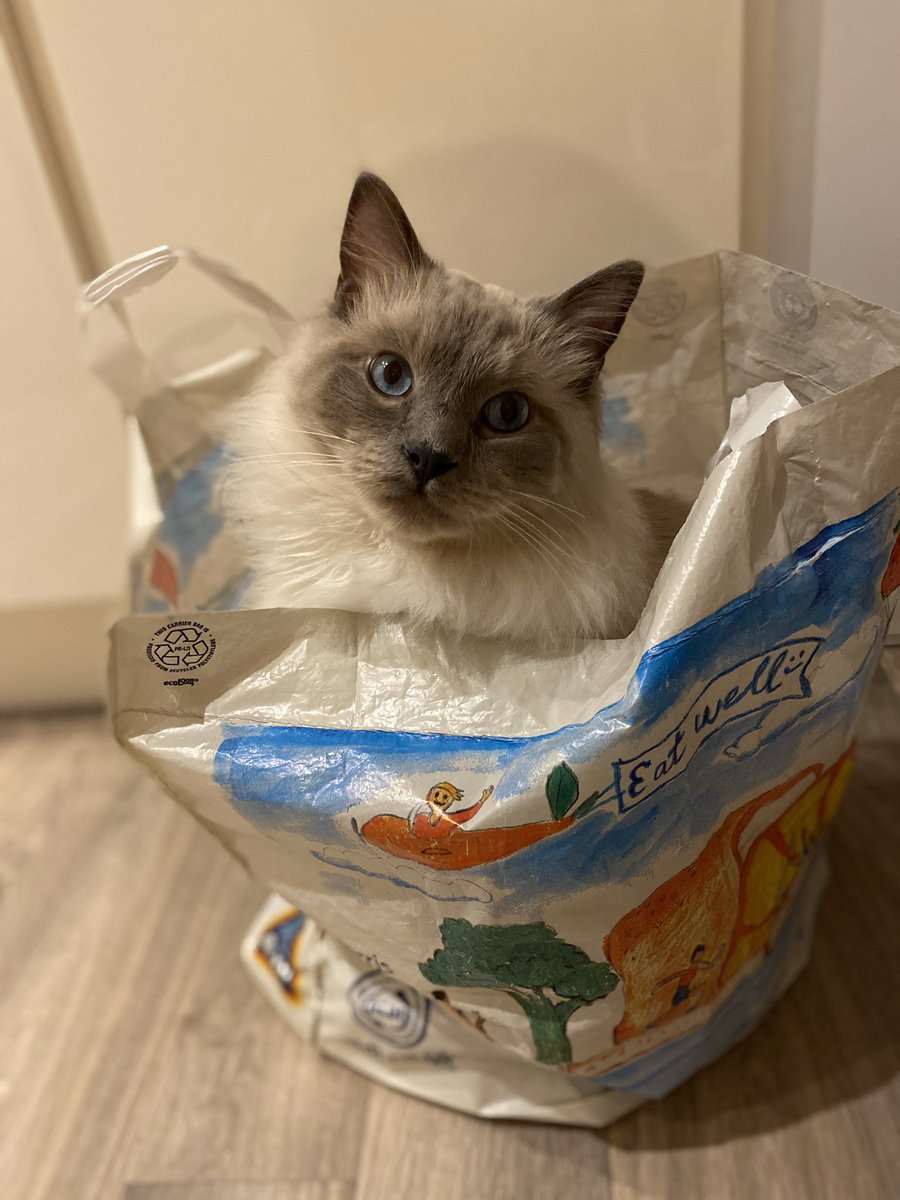lisarooni's tweet photo. I’m sure this wasn’t in my basket when I left @AldiUK this evening https://t.co/hqMFW9EFHh