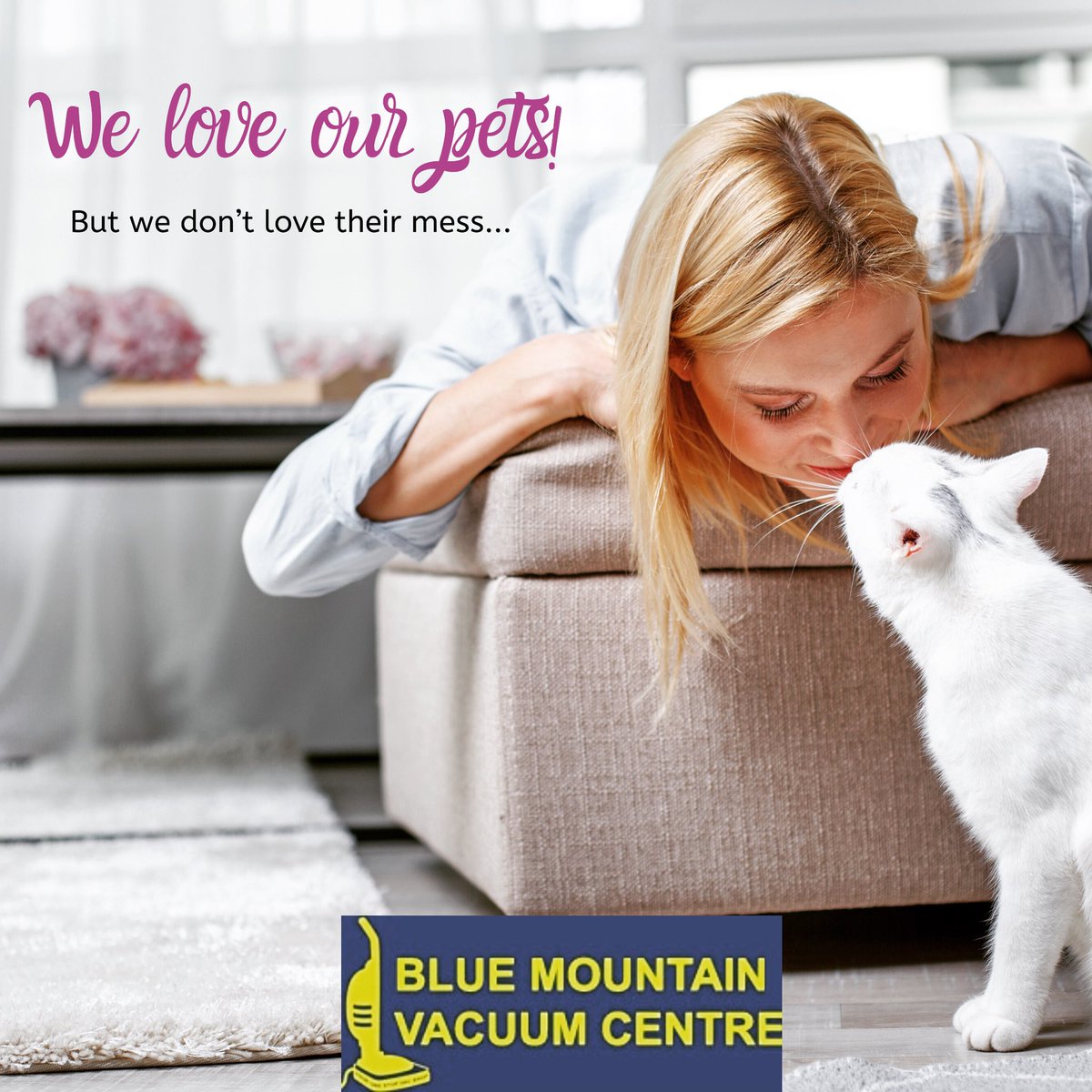 Blue Mountain Vacuum Centre Inc. tweet media