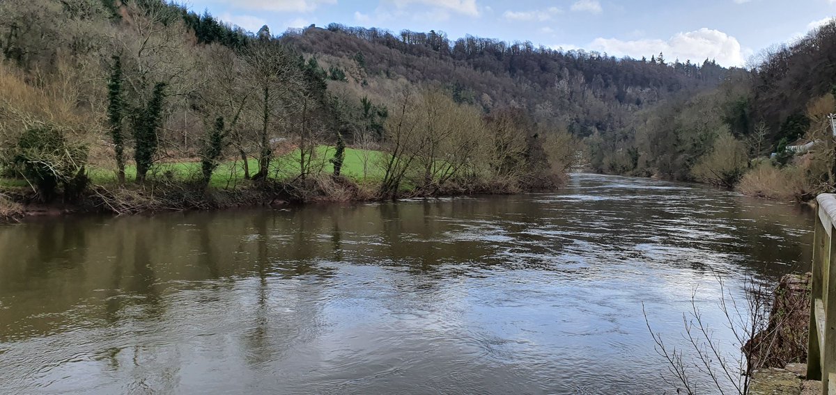 Cycled the @sustrans Peregrine Path alongside the mighty River Wye today passing through the beautiful scenery of The Biblins and Symonds Yat. Lunch stop @YOFI_riverwye hit the spot washed down with a @Stowford_Press Perfect Saturday!