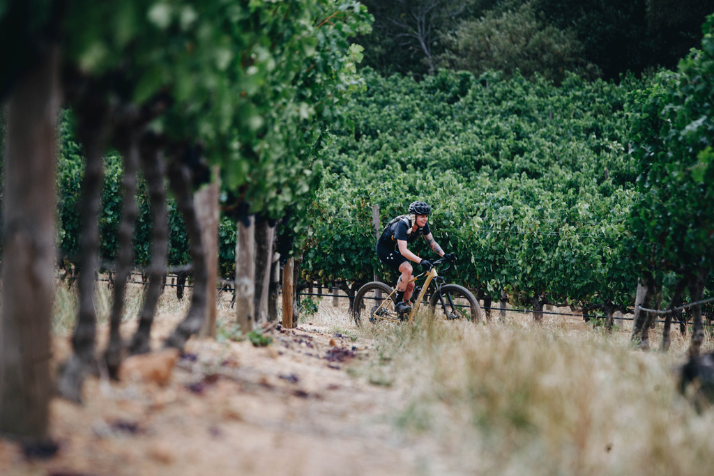 Specialized tweet media