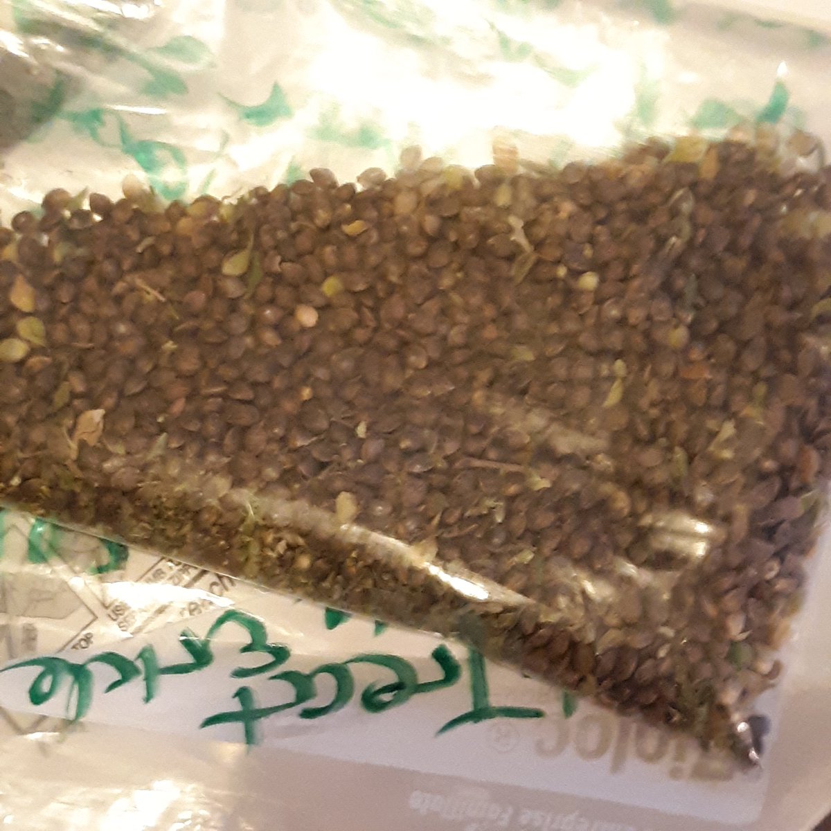 ㋡H୧M☧.F⨻RဣER㋡ tweet media