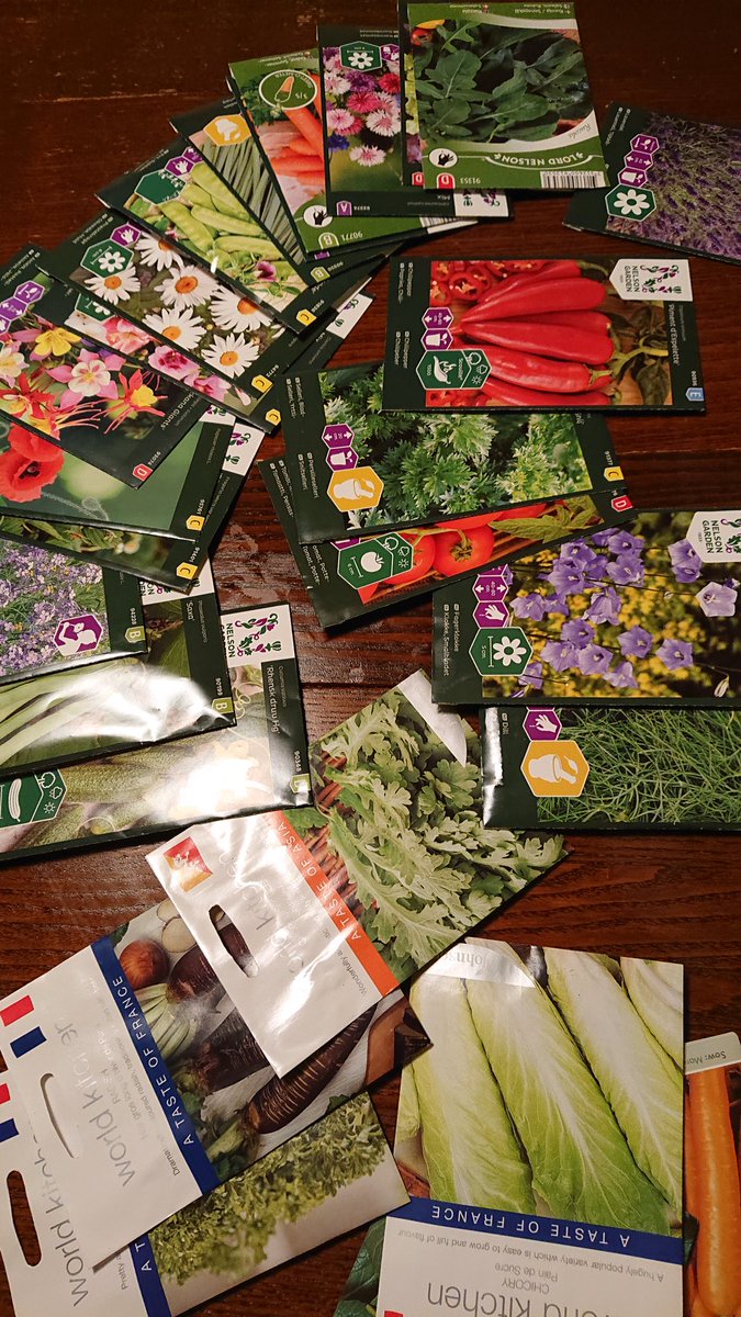 I bought some seeds online. Too much? 🤔😁 I have 14000 seeds of dill and I seldom eat dill. 😁

#vegpatch #seeds #gardening