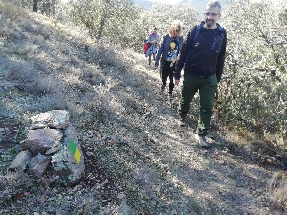 fondonatural's tweet photo. Hoy hemos hecho #ecorutas en #Cerveruela recorriendo itinerarios y #fuentes acondicionados en el #campodetrabajo y descubriendo los efectos de la crecida del #Huerva tras las nevadas. Arboles rotos, campos inundados, pero arroyos con agua y la #minireserva bien. #AragonVoluntari https://t.co/J4sPoGm8Vg