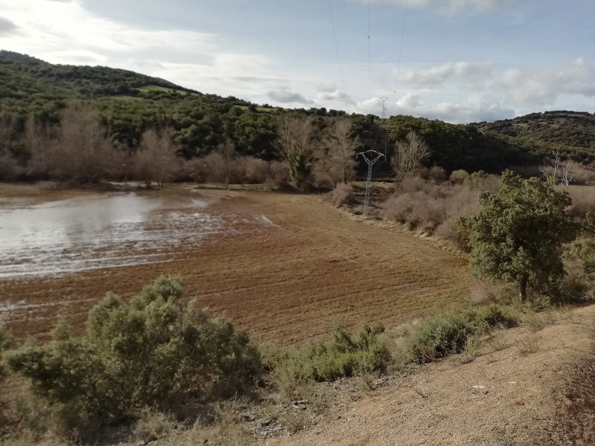 fondonatural's tweet photo. Hoy hemos hecho #ecorutas en #Cerveruela recorriendo itinerarios y #fuentes acondicionados en el #campodetrabajo y descubriendo los efectos de la crecida del #Huerva tras las nevadas. Arboles rotos, campos inundados, pero arroyos con agua y la #minireserva bien. #AragonVoluntari https://t.co/J4sPoGm8Vg
