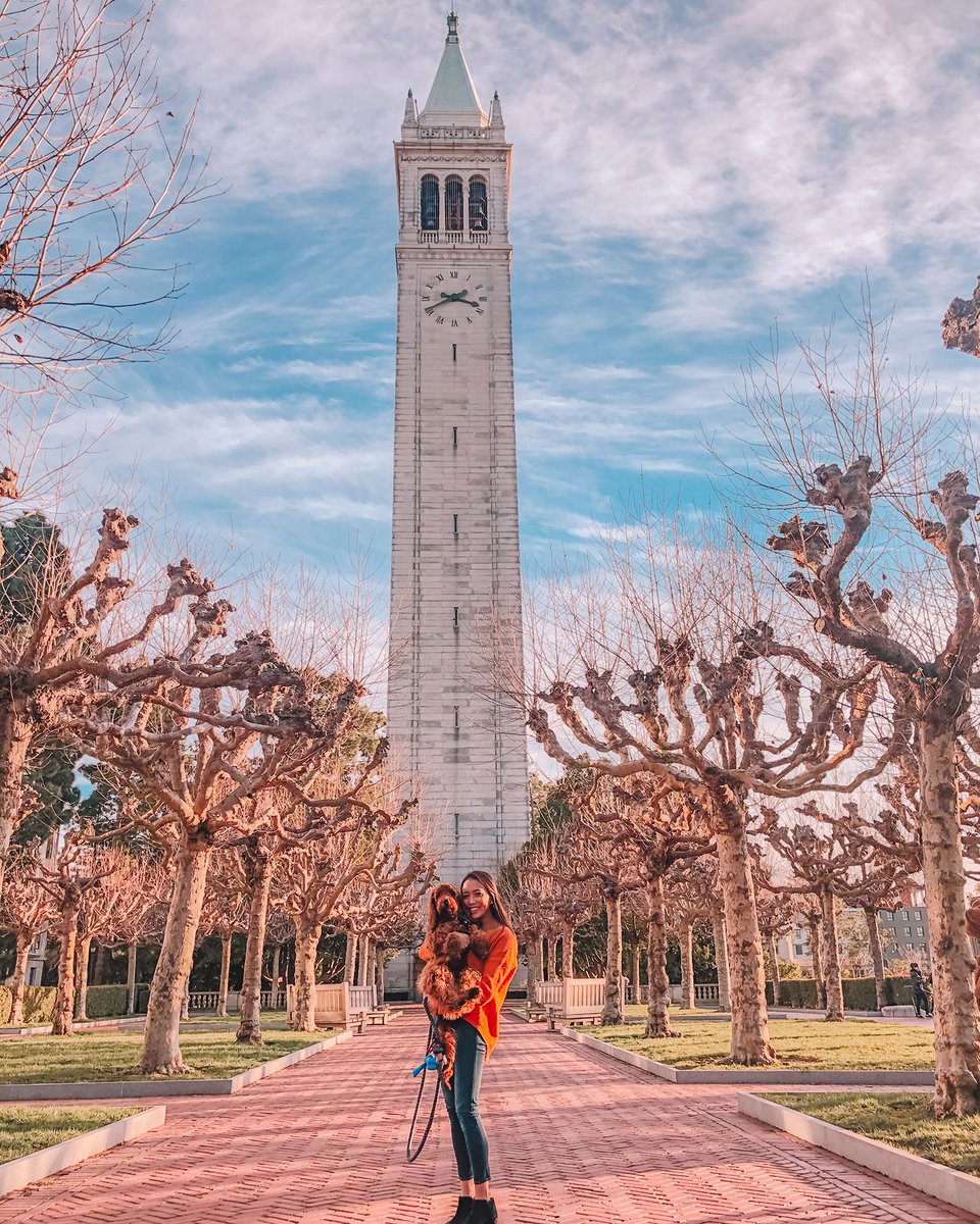 Person holding a dog standing in front of the campanile